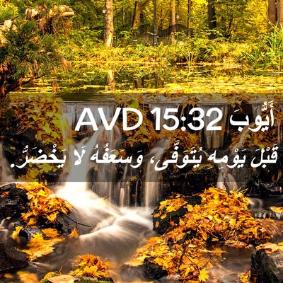 Picture 02 - أَيُّوبَ 15:32 AVD - قَبْلَ يَوْمِهِ - Bible Verse Picture