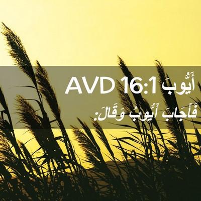 Picture 02 - أَيُّوبَ 16:1 AVD - فَأَجَابَ أَيُّوبُ - Bible Verse Picture