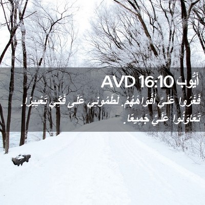 Picture 02 - أَيُّوبَ 16:10 AVD - فَغَرُوا عَلَيَّ - Bible Verse Picture
