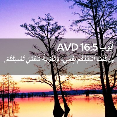 Picture 02 - أَيُّوبَ 16:5 AVD - بَلْ كُنْتُ أُشَدِّدُكُمْ - Bible Verse Picture