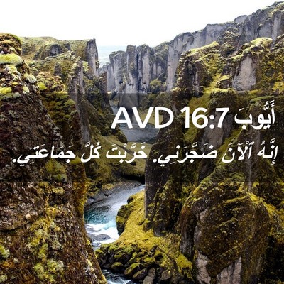 Picture 02 - أَيُّوبَ 16:7 AVD - إِنَّهُ ٱلْآنَ ضَجَّرَنِي. - Bible Verse Picture