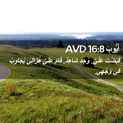 Picture 02 - أَيُّوبَ 16:8 AVD - قَبَضْتَ عَلَيَّ. وُجِدَ - Bible Verse Picture