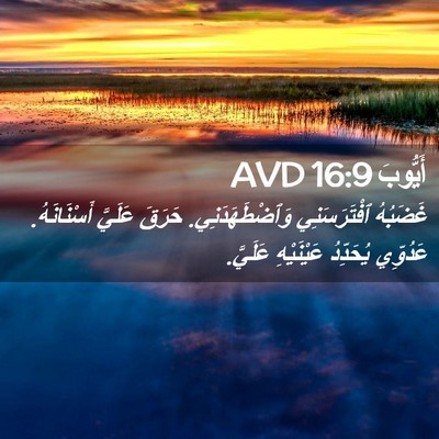 Picture 02 - أَيُّوبَ 16:9 AVD - غَضَبُهُ ٱفْتَرَسَنِي - Bible Verse Picture