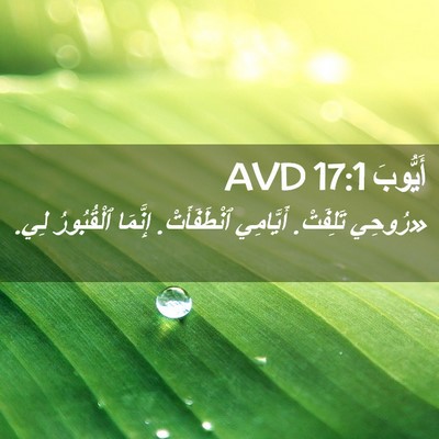 Picture 02 - أَيُّوبَ 17:1 AVD - «رُوحِي تَلِفَتْ. - Bible Verse Picture