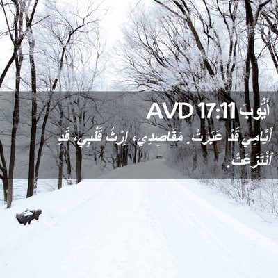 Picture 02 - أَيُّوبَ 17:11 AVD - أَيَّامِي قَدْ عَبَرَتْ. - Bible Verse Picture