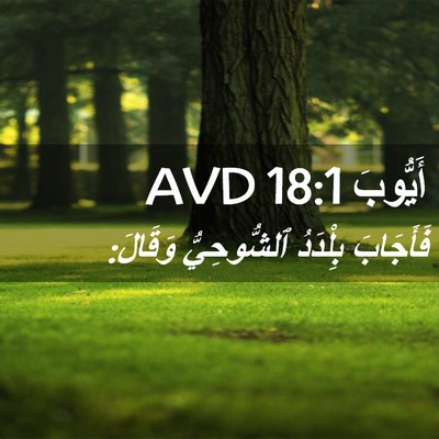 Picture 02 - أَيُّوبَ 18:1 AVD - فَأَجَابَ بِلْدَدُ - Bible Verse Picture