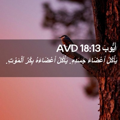 Picture 02 - أَيُّوبَ 18:13 AVD - يَأْكُلُ أَعْضَاءَ - Bible Verse Picture