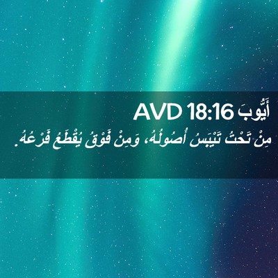 Picture 02 - أَيُّوبَ 18:16 AVD - مِنْ تَحْتُ تَيْبَسُ - Bible Verse Picture