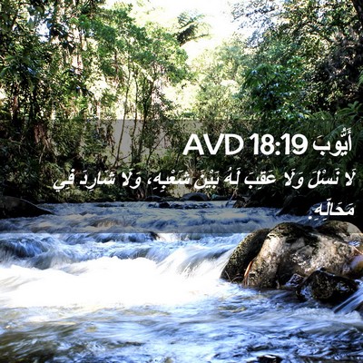 Picture 02 - أَيُّوبَ 18:19 AVD - لَا نَسْلَ وَلَا عَقِبَ - Bible Verse Picture
