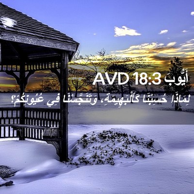 Picture 02 - أَيُّوبَ 18:3 AVD - لِمَاذَا حُسِبْنَا - Bible Verse Picture