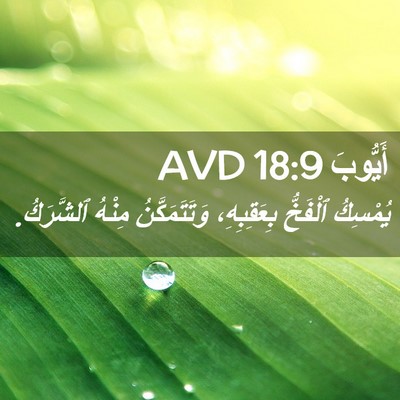 Picture 02 - أَيُّوبَ 18:9 AVD - يُمْسِكُ ٱلْفَخُّ - Bible Verse Picture