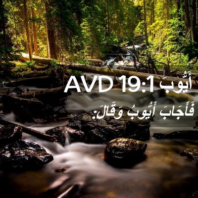 Picture 02 - أَيُّوبَ 19:1 AVD - فَأَجَابَ أَيُّوبُ - Bible Verse Picture