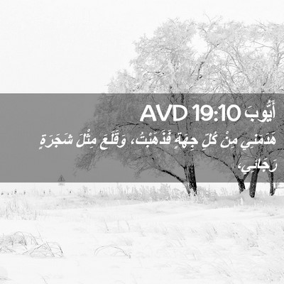 Picture 02 - أَيُّوبَ 19:10 AVD - هَدَمَنِي مِنْ كُلِّ - Bible Verse Picture