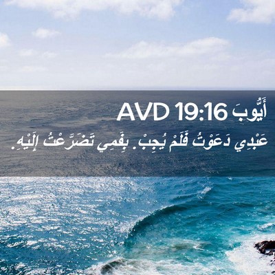 Picture 02 - أَيُّوبَ 19:16 AVD - عَبْدِي دَعَوْتُ فَلَمْ - Bible Verse Picture