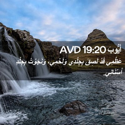 Picture 02 - أَيُّوبَ 19:20 AVD - عَظْمِي قَدْ لَصِقَ - Bible Verse Picture