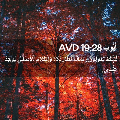 Picture 02 - أَيُّوبَ 19:28 AVD - فَإِنَّكُمْ تَقُولُونَ: - Bible Verse Picture