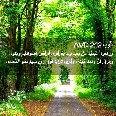 Picture 02 - أَيُّوبَ 2:12 AVD - وَرَفَعُوا أَعْيُنَهُمْ - Bible Verse Picture