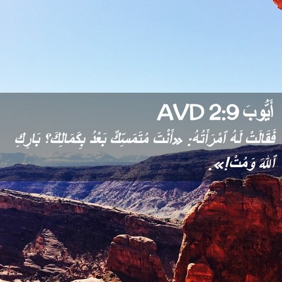 Picture 02 - أَيُّوبَ 2:9 AVD - فَقَالَتْ لَهُ - Bible Verse Picture