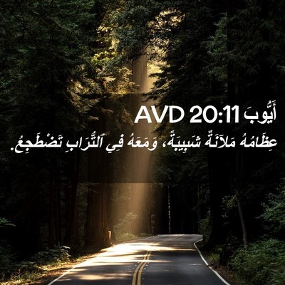 Picture 02 - أَيُّوبَ 20:11 AVD - عِظَامُهُ مَلآنَةٌ - Bible Verse Picture