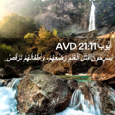 Picture 02 - أَيُّوبَ 21:11 AVD - يُسْرِحُونَ مِثْلَ - Bible Verse Picture