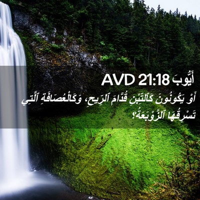 Picture 02 - أَيُّوبَ 21:18 AVD - أَوْ يَكُونُونَ - Bible Verse Picture