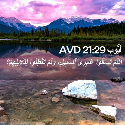 Picture 02 - أَيُّوبَ 21:29 AVD - أَفَلَمْ تَسْأَلُوا - Bible Verse Picture