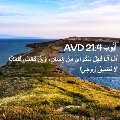 Picture 02 - أَيُّوبَ 21:4 AVD - أَمَّا أَنَا فَهَلْ - Bible Verse Picture