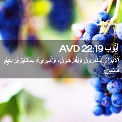 Picture 02 - أَيُّوبَ 22:19 AVD - ٱلْأَبْرَارُ يَنْظُرُونَ - Bible Verse Picture