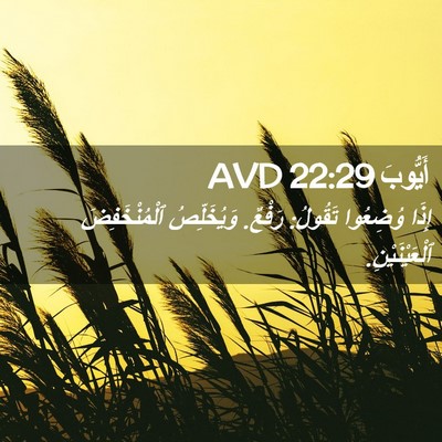 Picture 02 - أَيُّوبَ 22:29 AVD - إِذَا وُضِعُوا تَقُولُ: - Bible Verse Picture