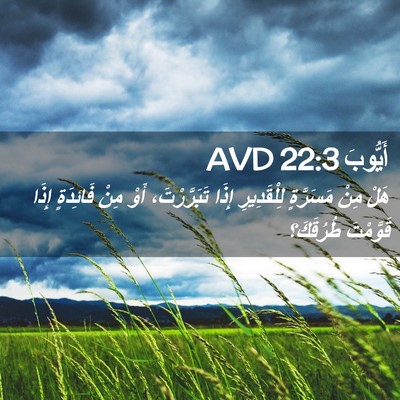 Picture 02 - أَيُّوبَ 22:3 AVD - هَلْ مِنْ مَسَرَّةٍ - Bible Verse Picture