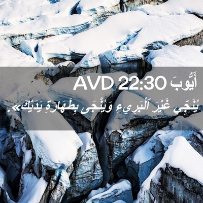 Picture 02 - أَيُّوبَ 22:30 AVD - يُنَجِّي غَيْرَ - Bible Verse Picture