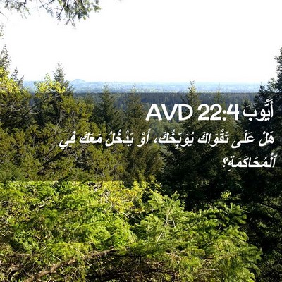 Picture 02 - أَيُّوبَ 22:4 AVD - هَلْ عَلَى تَقْوَاكَ - Bible Verse Picture