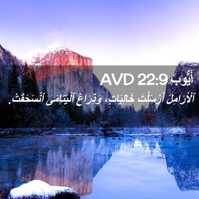 Picture 02 - أَيُّوبَ 22:9 AVD - ٱلْأَرَامِلَ أَرْسَلْتَ - Bible Verse Picture