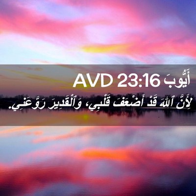 Picture 02 - أَيُّوبَ 23:16 AVD - لِأَنَّ ٱللهَ قَدْ - Bible Verse Picture