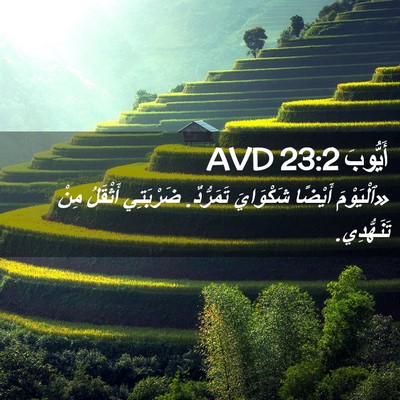 Picture 02 - أَيُّوبَ 23:2 AVD - «ٱلْيَوْمَ أَيْضًا - Bible Verse Picture