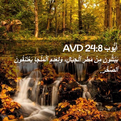 Picture 02 - أَيُّوبَ 24:8 AVD - يَبْتَلُّونَ مِنْ مَطَرِ - Bible Verse Picture