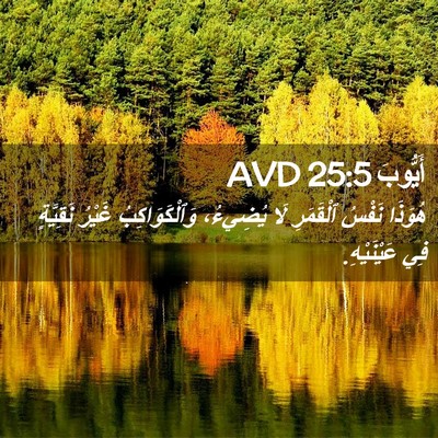 Picture 02 - أَيُّوبَ 25:5 AVD - هُوَذَا نَفْسُ ٱلْقَمَرِ - Bible Verse Picture