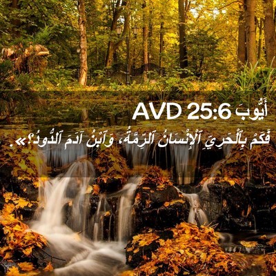 Picture 02 - أَيُّوبَ 25:6 AVD - فَكَمْ بِٱلْحَرِيِّ - Bible Verse Picture