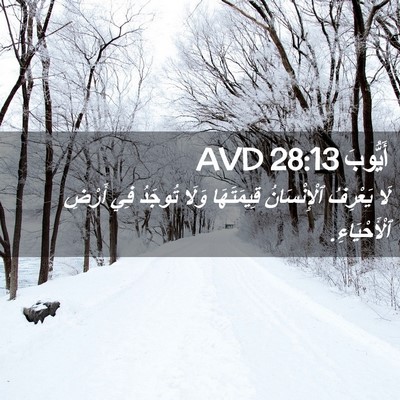 Picture 02 - أَيُّوبَ 28:13 AVD - لَا يَعْرِفُ ٱلْإِنْسَانُ - Bible Verse Picture