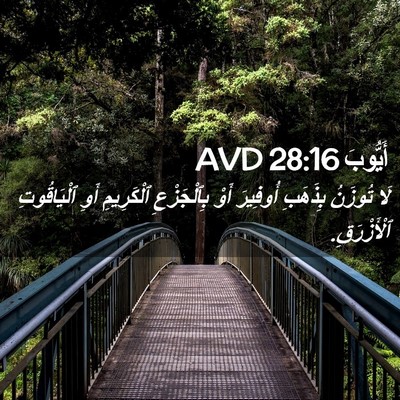Picture 02 - أَيُّوبَ 28:16 AVD - لَا تُوزَنُ بِذَهَبِ - Bible Verse Picture
