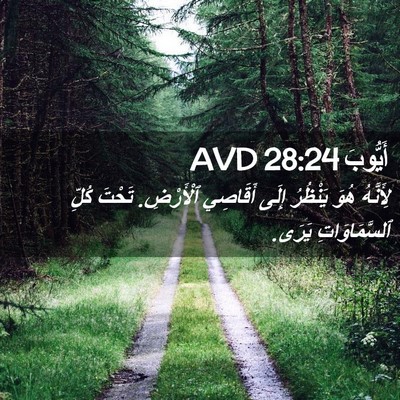 Picture 02 - أَيُّوبَ 28:24 AVD - لِأَنَّهُ هُوَ يَنْظُرُ - Bible Verse Picture