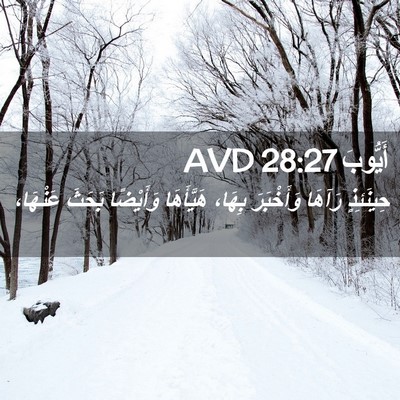 Picture 02 - أَيُّوبَ 28:27 AVD - حِينَئِذٍ رَآهَا - Bible Verse Picture