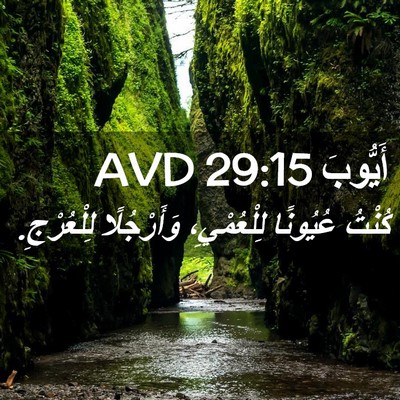 Picture 02 - أَيُّوبَ 29:15 AVD - كُنْتُ عُيُونًا - Bible Verse Picture