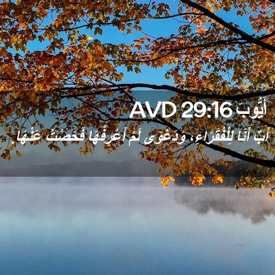 Picture 02 - أَيُّوبَ 29:16 AVD - أَبٌ أَنَا لِلْفُقَرَاءِ، - Bible Verse Picture