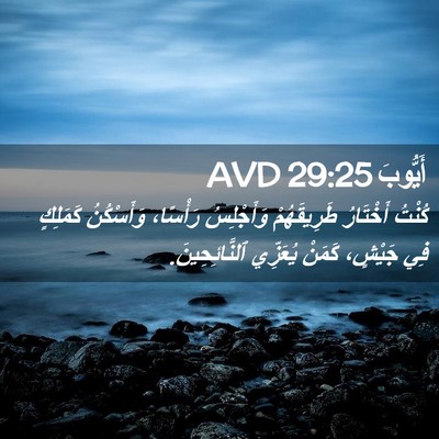 Picture 02 - أَيُّوبَ 29:25 AVD - كُنْتُ أَخْتَارُ - Bible Verse Picture