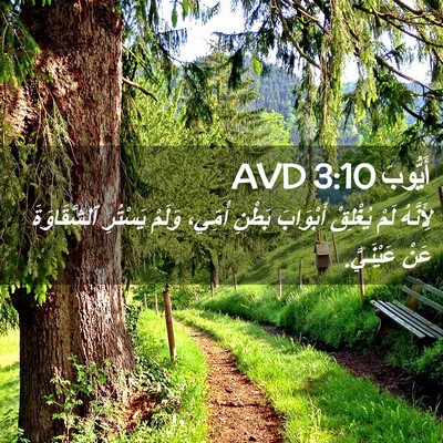 Picture 02 - أَيُّوبَ 3:10 AVD - لِأَنَّهُ لَمْ يُغْلِقْ - Bible Verse Picture