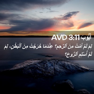 Picture 02 - أَيُّوبَ 3:11 AVD - لِمَ لَمْ أَمُتْ مِنَ - Bible Verse Picture