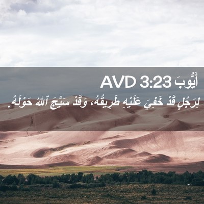 Picture 02 - أَيُّوبَ 3:23 AVD - لِرَجُلٍ قَدْ خَفِيَ - Bible Verse Picture