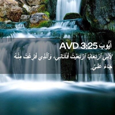 Picture 02 - أَيُّوبَ 3:25 AVD - لِأَنِّي ٱرْتِعَابًا - Bible Verse Picture