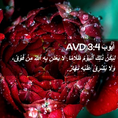 Picture 02 - أَيُّوبَ 3:4 AVD - لِيَكُنْ ذَلِكَ ٱلْيَوْمُ - Bible Verse Picture